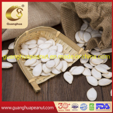 New Crop Best Quality Healthy Cheap New Fragrance Snow White Pumpkin Seeds